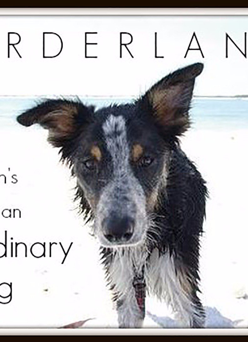 Dream Dog