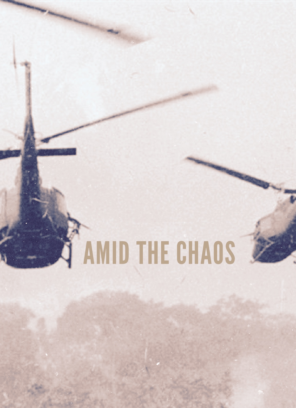 Amid the Chaos