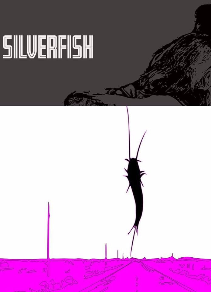 Silverfish