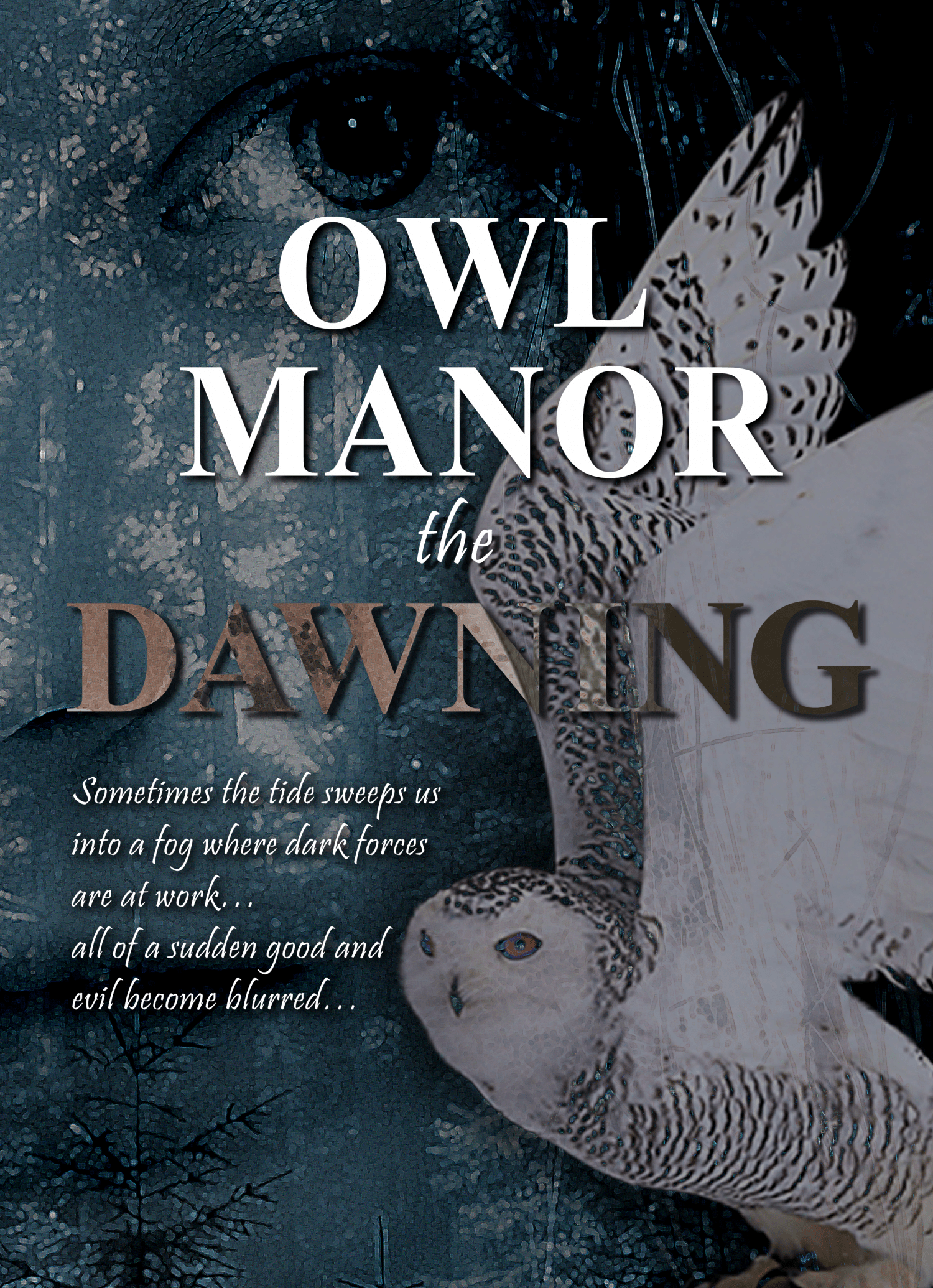 Owl Manor - the Dawning